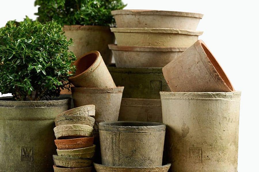 Terracotta