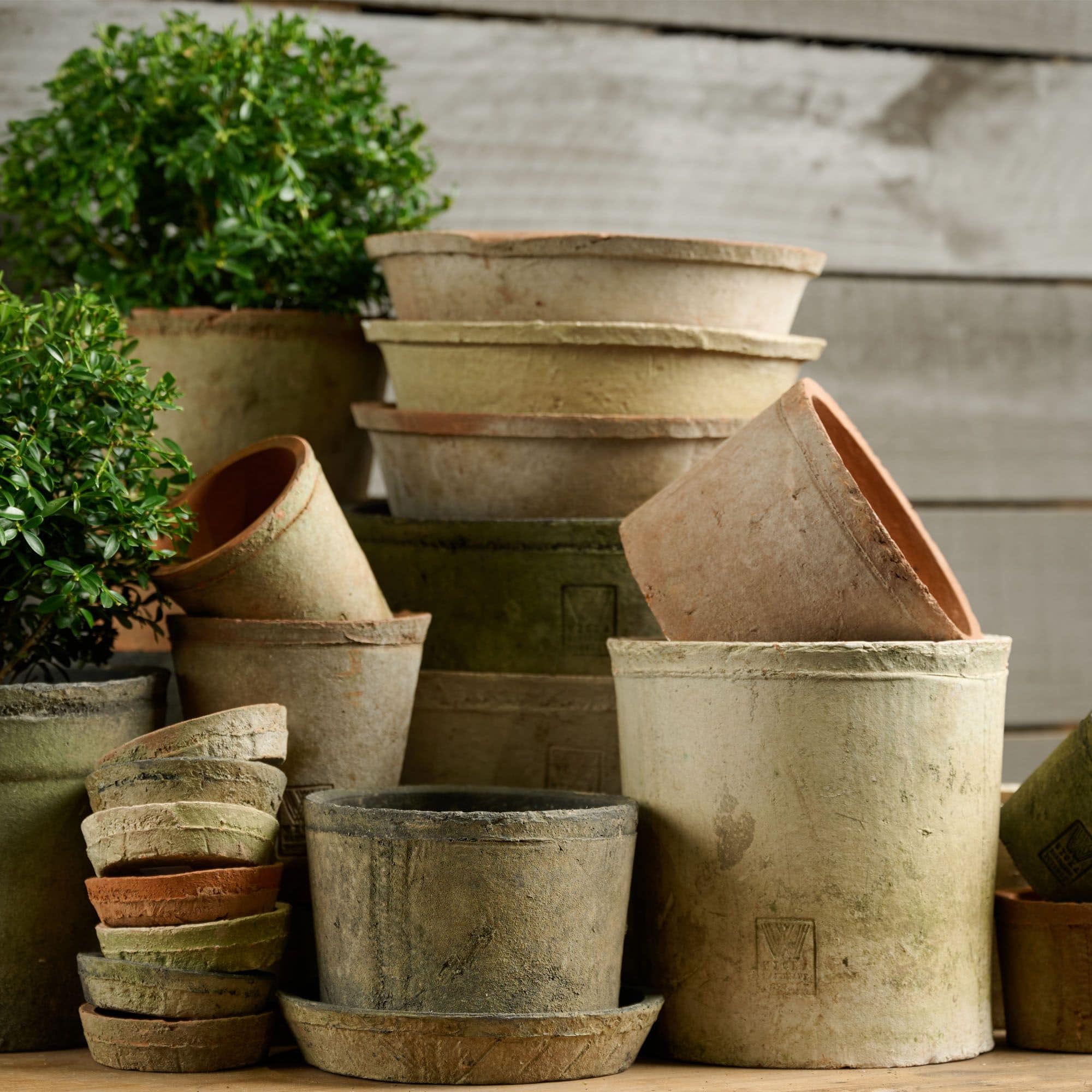 Terracotta